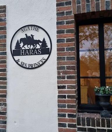 Gite Au Haras D'Agathe Et Ses Princes Les Barils Kültér fotó