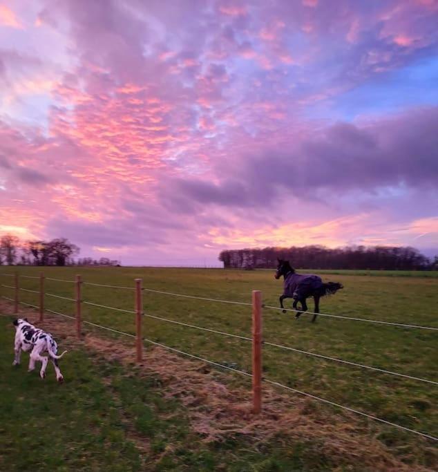 Gite Au Haras D'Agathe Et Ses Princes Les Barils Kültér fotó