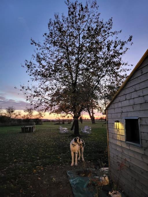 Gite Au Haras D'Agathe Et Ses Princes Les Barils Kültér fotó