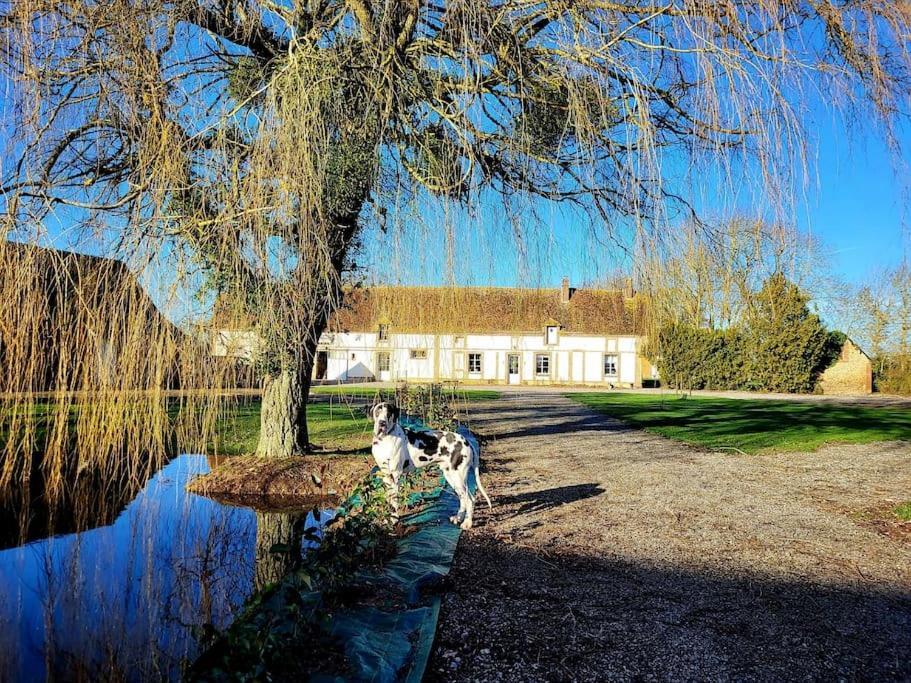 Gite Au Haras D'Agathe Et Ses Princes Les Barils Kültér fotó