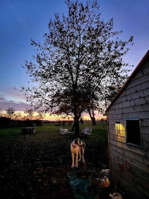 Gite Au Haras D'Agathe Et Ses Princes Les Barils Kültér fotó