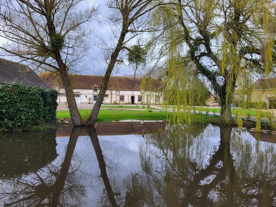 Gite Au Haras D'Agathe Et Ses Princes Les Barils Kültér fotó
